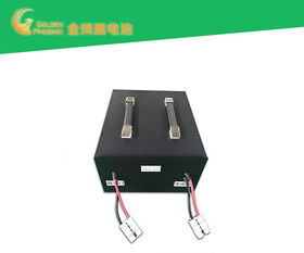 電動(dòng)車(chē)電池批發(fā) 好品質(zhì)源于東莞強(qiáng)力 電動(dòng)車(chē)電池代理